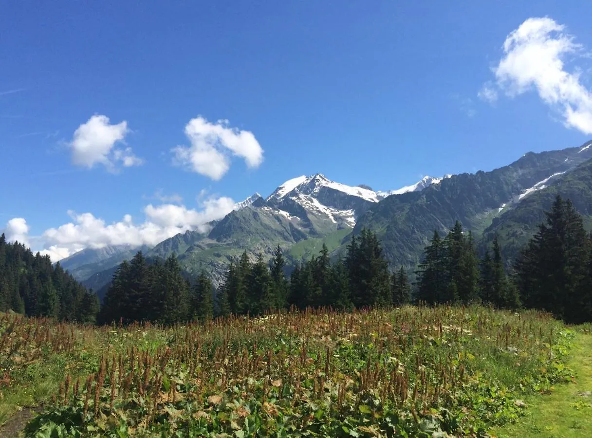 Bel Appartement Au Decor Montagnard - 80M2 Les Contamines-Montjoie 0*,  France